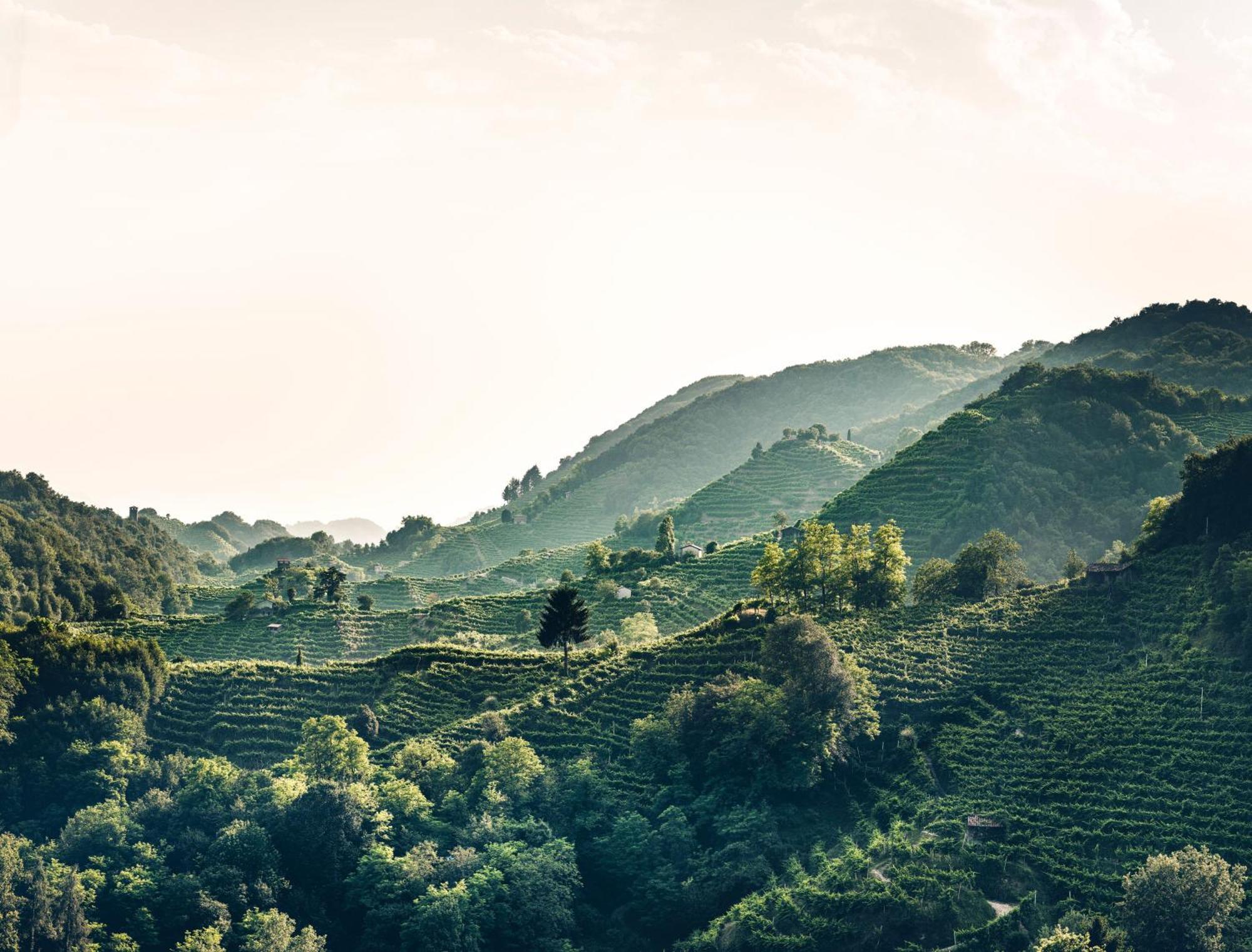 Locanda Da Lino Pieve di Soligo Buitenkant foto